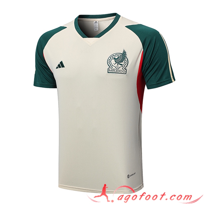 Training T-Shirts Mexique Beige 2023/2023