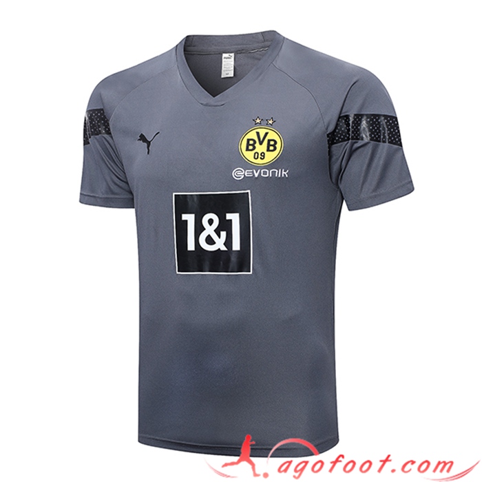 Training T-Shirts Dortmund Gris 2023/2023