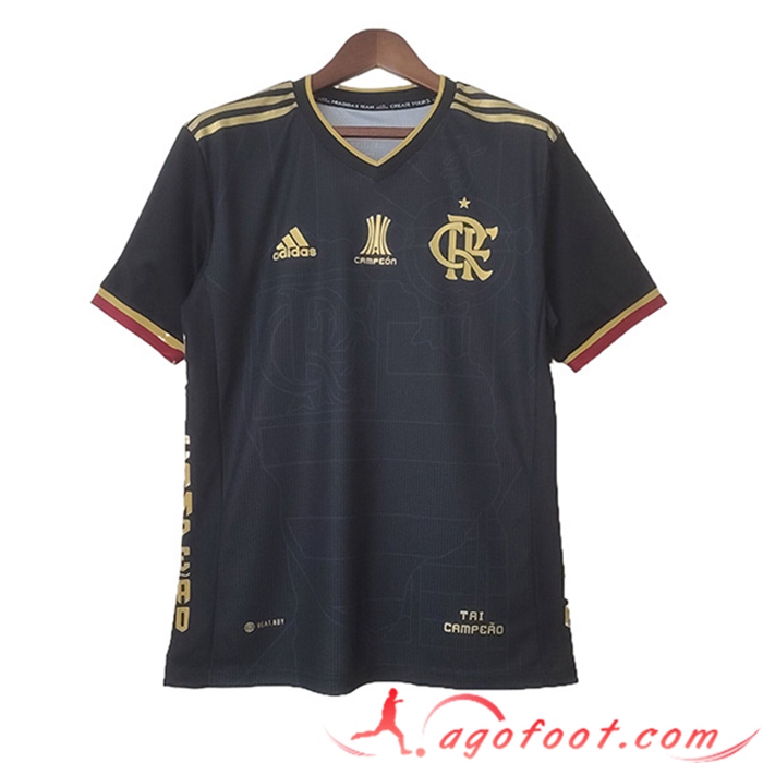 Training T-Shirts Flamengo Noir 2023/2023
