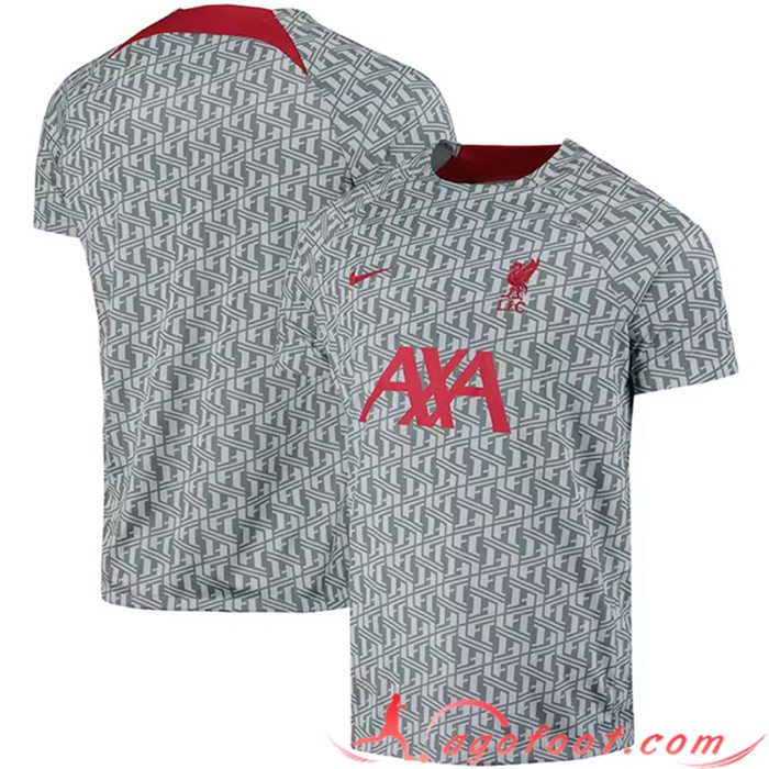Training T-Shirts FC Liverpool Gris 2023/2023