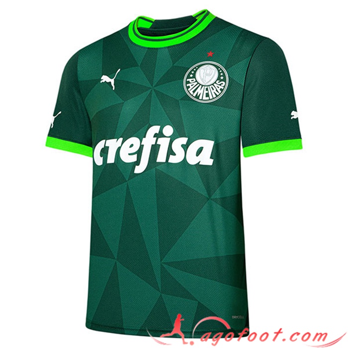 Maillot de Foot Palmeiras Domicile 2023/2024