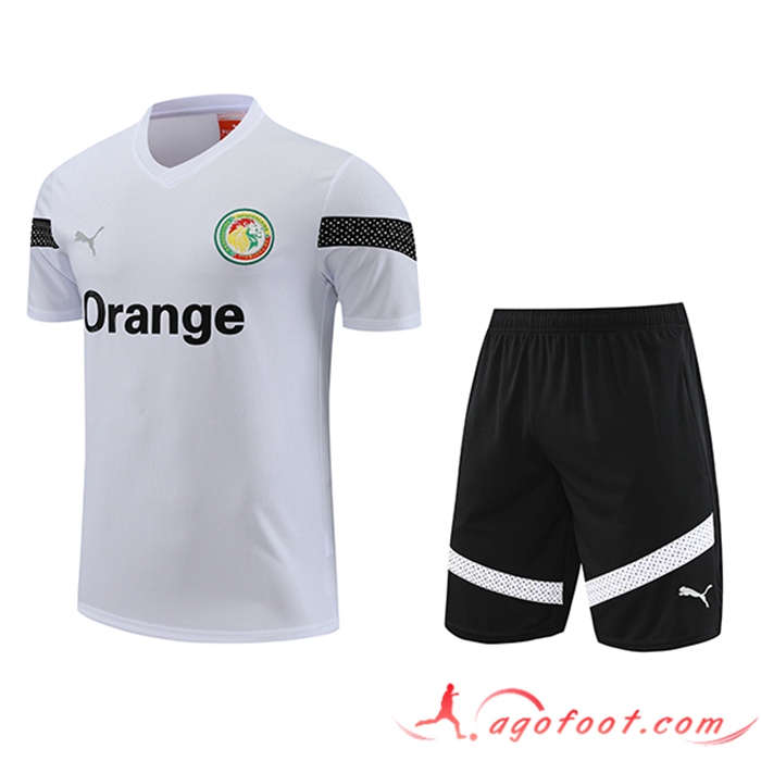Ensemble Training T-Shirts + Shorts Sénégal Blanc 2023/2024