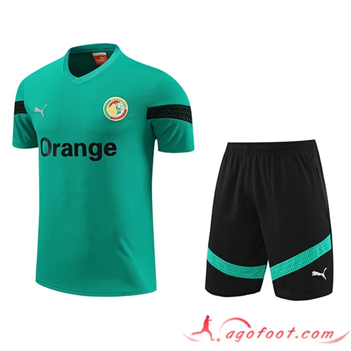 Ensemble Training T-Shirts + Shorts Sénégal Vert 2023/2024
