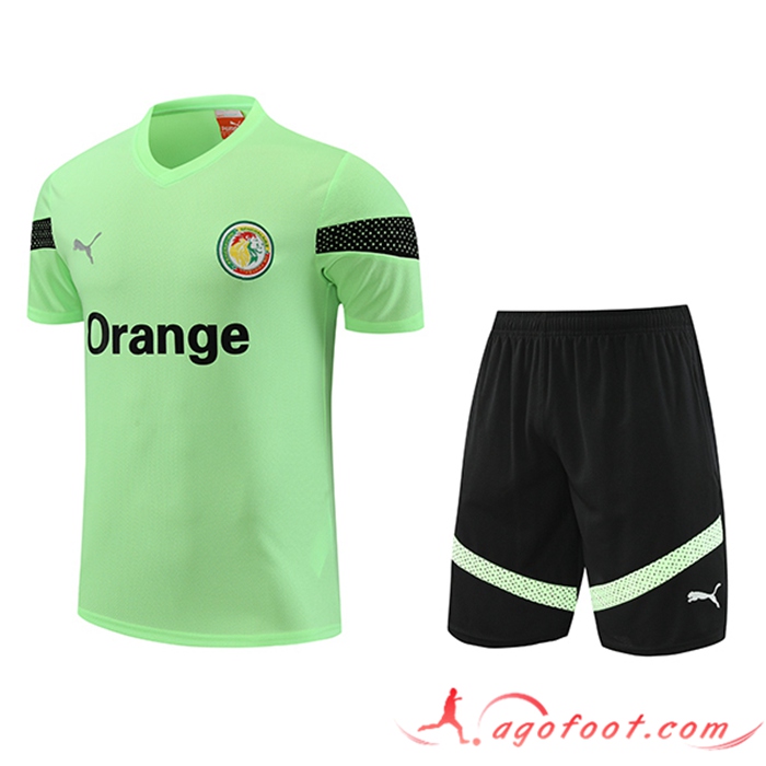 Ensemble Training T-Shirts + Shorts Sénégal Vert 2023/2024