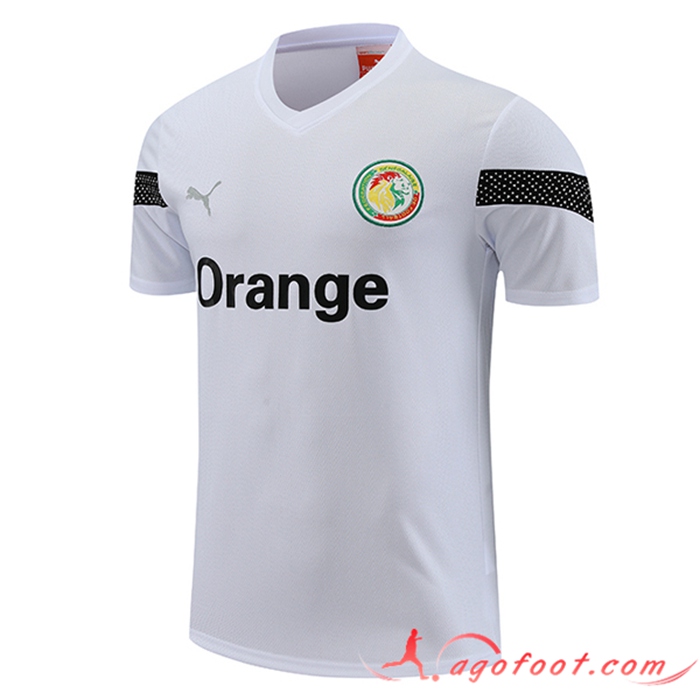 Training T-Shirts Sénégal Blanc 2023/2024