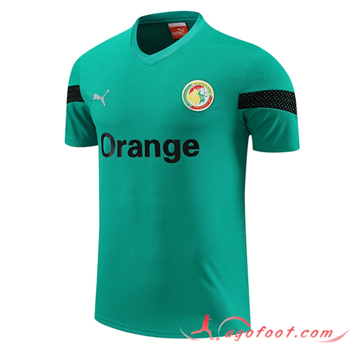 Training T-Shirts Sénégal Vert 2023/2024