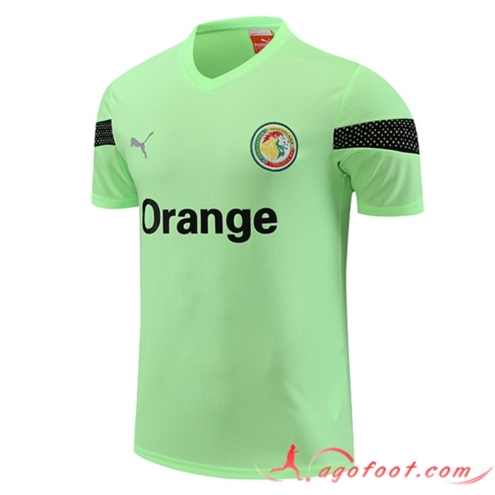 Training T-Shirts Sénégal Vert 2023/2024