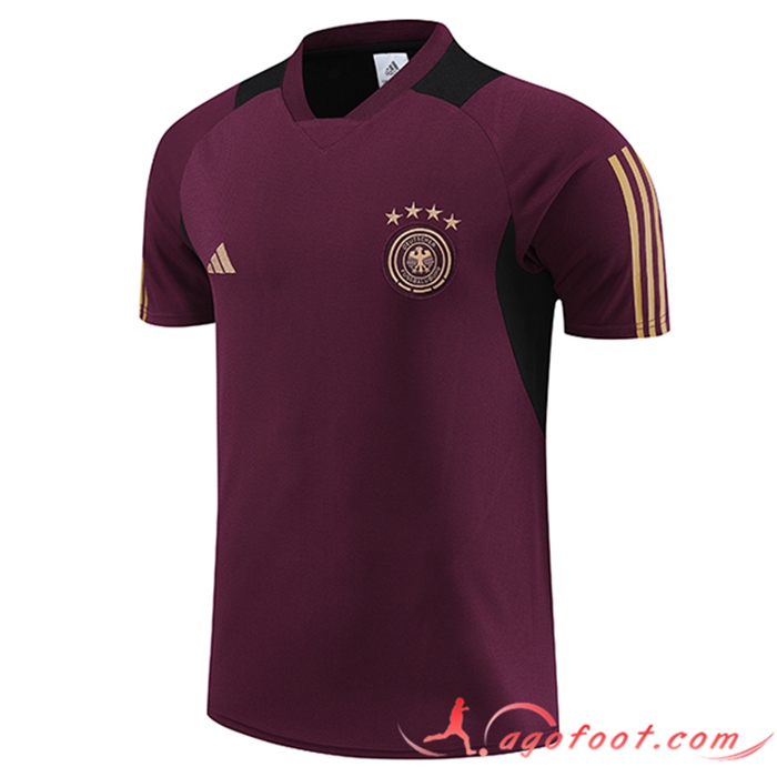 Training T-Shirts Allemagne Rouge Foncé 2023/2024