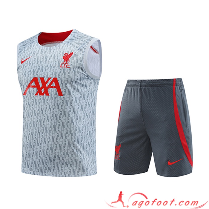 Ensemble Training Debardeur + Shorts FC Liverpool Gris 2023/2024