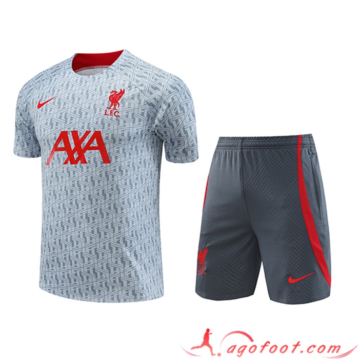 Ensemble Training T-Shirts + Shorts FC Liverpool Gris 2023/2024
