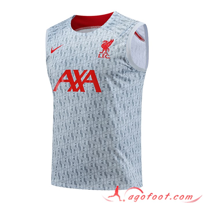 Training Debardeur FC Liverpool Gris 2023/2024