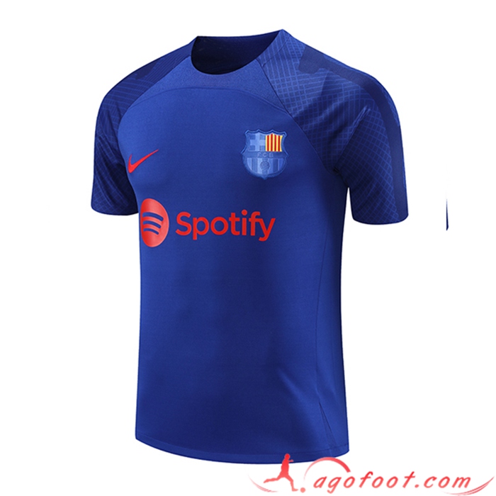 Training T-Shirts PSG Jordan Rouge 2023/2024