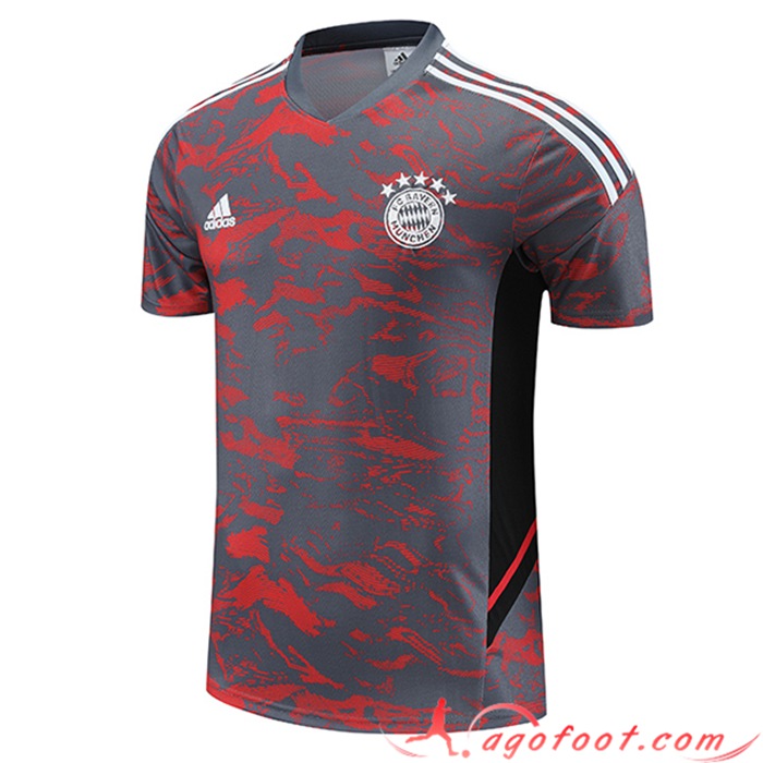 Training T-Shirts Bayern Munich Rouge/Gris 2023/2024
