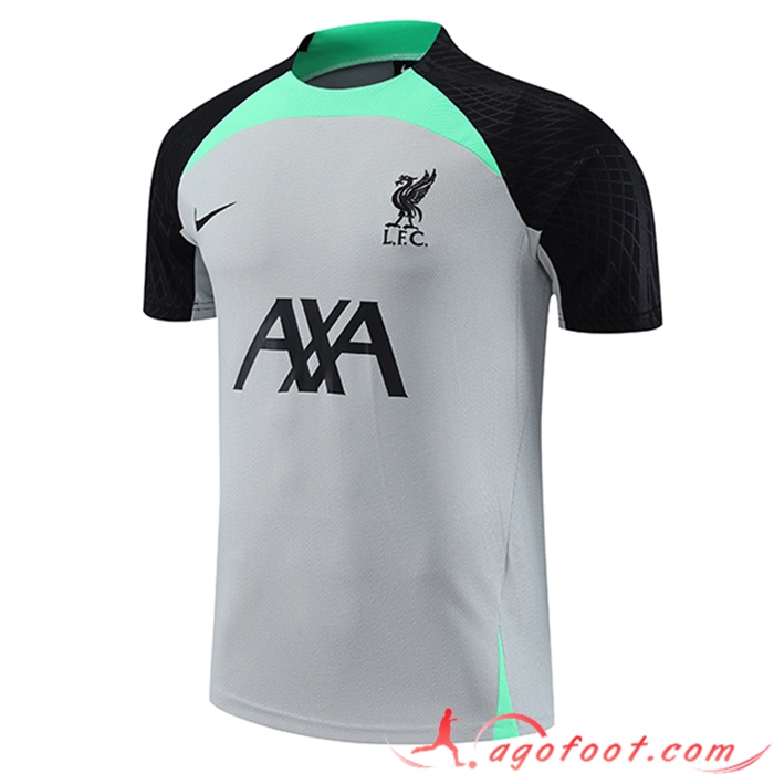 Training T-Shirts FC Liverpool Gris 2023/2024
