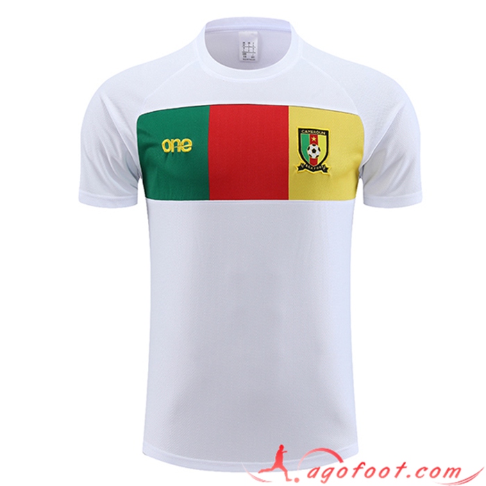 Training T-Shirts Cameroun Blanc 2023/2024
