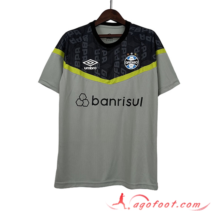 Training T-Shirts Guilde Gris 2023/2024