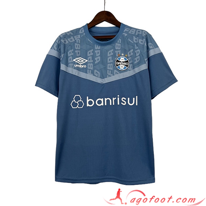 Training T-Shirts Guilde Bleu 2023/2024