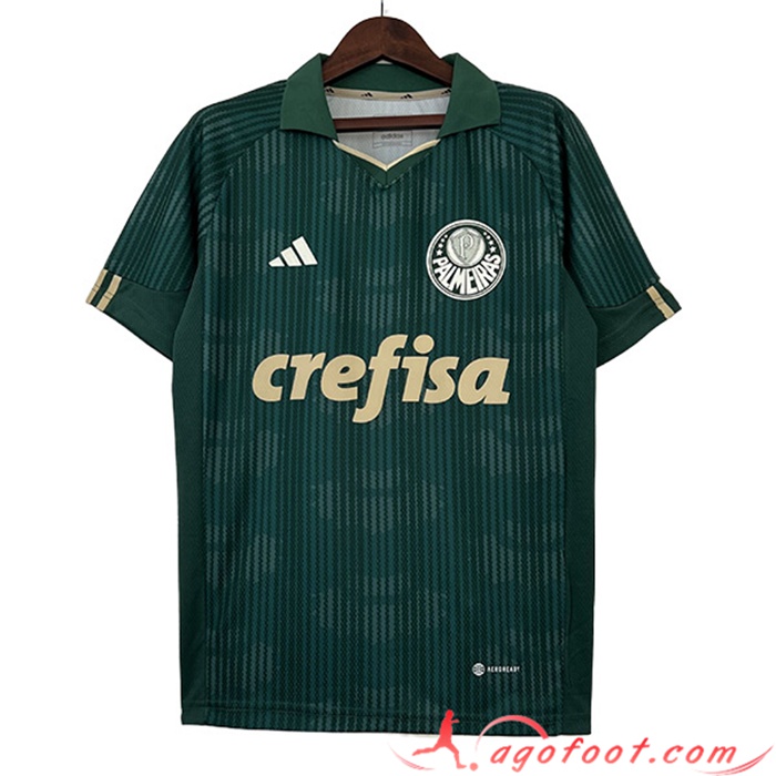 Maillot de Foot Palmeiras Special Edition Vert 2023/2024