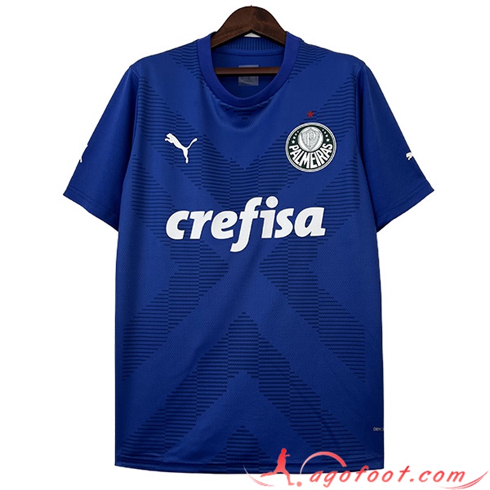 Maillot de Foot Palmeiras Gardien de But Bleu 2023/2024