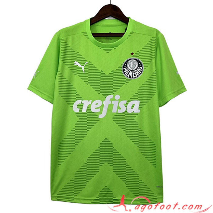Maillot de Foot Palmeiras Gardien de But Vert 2023/2024