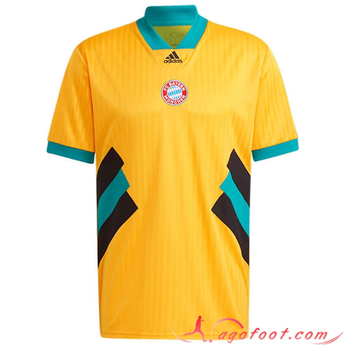 Maillot de Foot Bayern Munich Icon 2023/2024