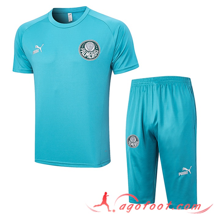 Ensemble Training T-Shirts + Shorts Palmeiras Vert 2023/2024