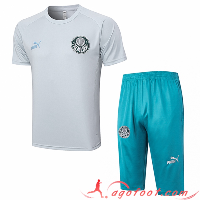 Ensemble Training T-Shirts + Shorts Palmeiras Gris Clair 2023/2024