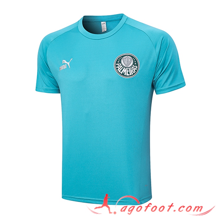 Training T-Shirts Palmeiras Vert 2023/2024