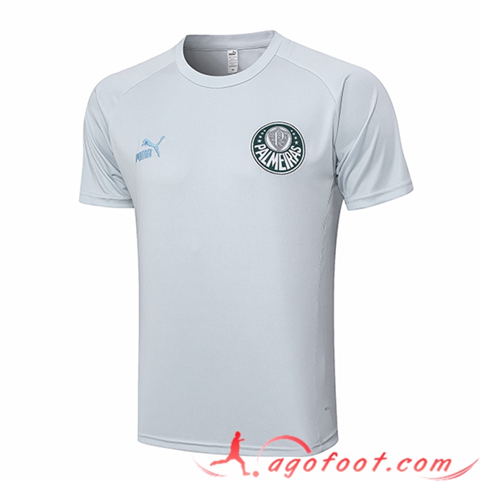 Training T-Shirts Palmeiras Gris Clair 2023/2024