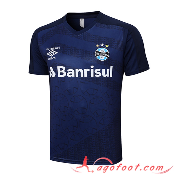 Training T-Shirts Gremio Bleu Marine 2023/2024