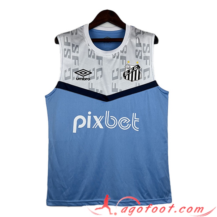 Training Debardeur Gremio Bleu/Blanc 2023/2024