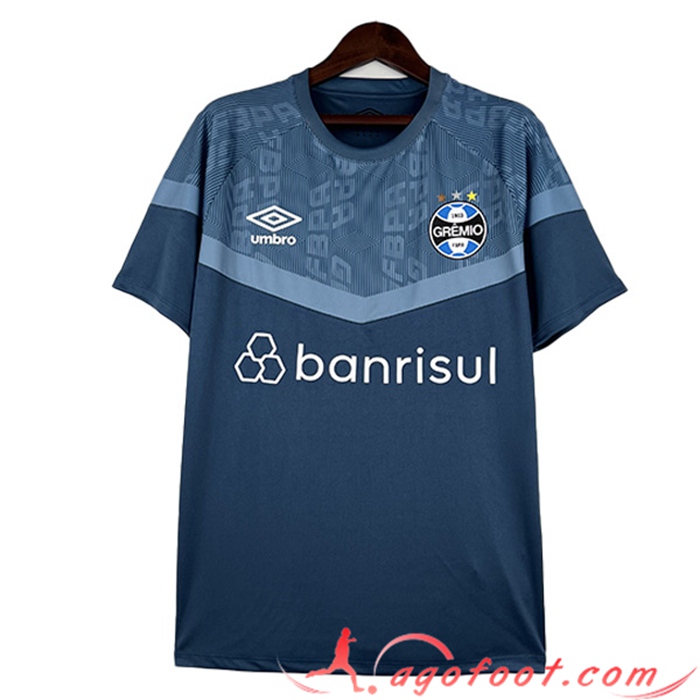 Training T-Shirts Gremio Bleu Clair 2023/2024 -03