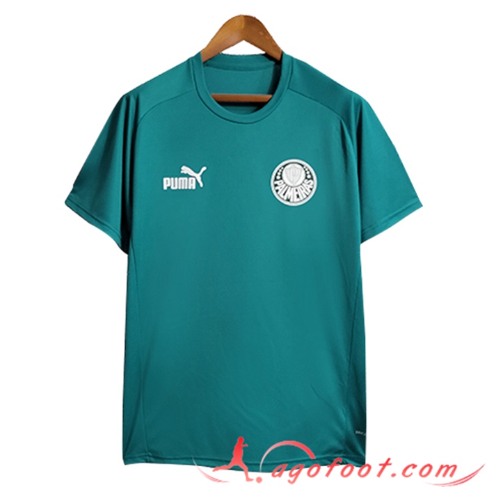 Training T-Shirts Palmeiras Vert 2023/2024 -02