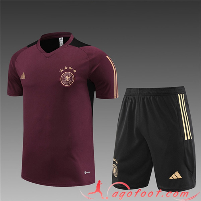 Ensemble Training T-Shirts + Shorts Allemagne Enfant Brune 2023/2024