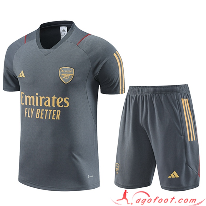 Ensemble Training T-Shirts + Shorts Arsenal Gris 2023/2024