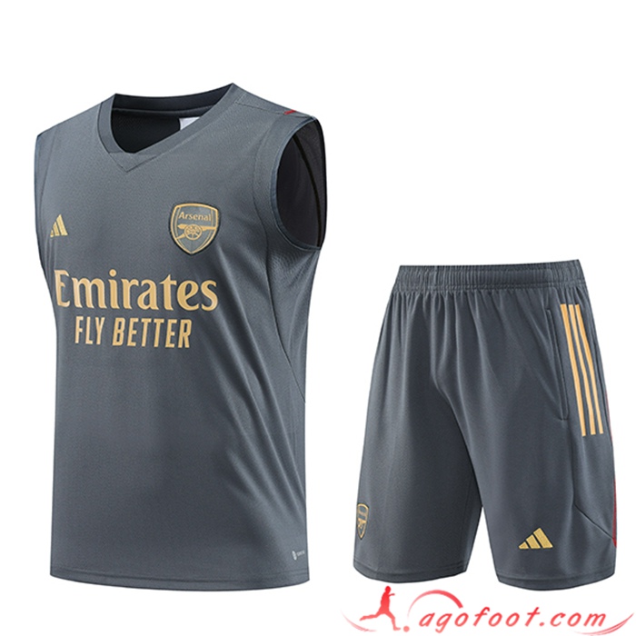 Ensemble Training Debardeur + Shorts Arsenal Gris 2023/2024