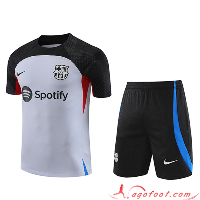 Ensemble Training T-Shirts + Shorts FC Barcelone Gris 2023/2024