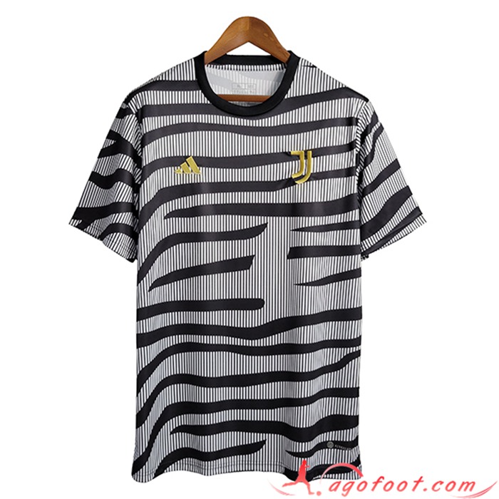 Training T-Shirts Juventus Noir/Gris 2023/2024