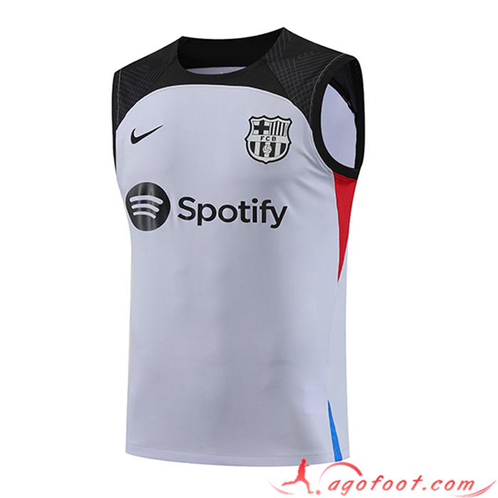 Training Debardeur FC Barcelone Gris 2023/2024