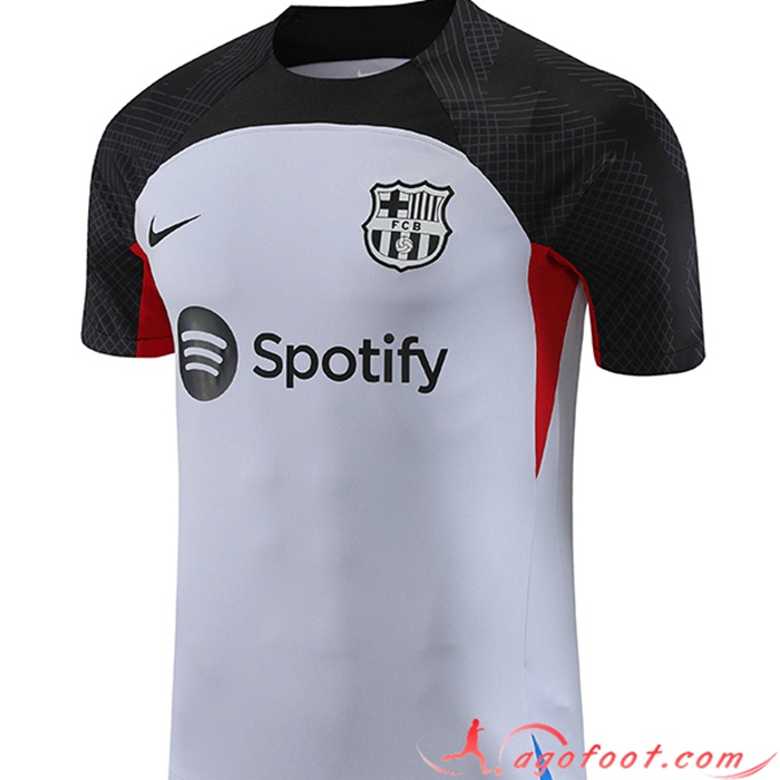 Training T-Shirts FC Barcelone Gris 2023/2024