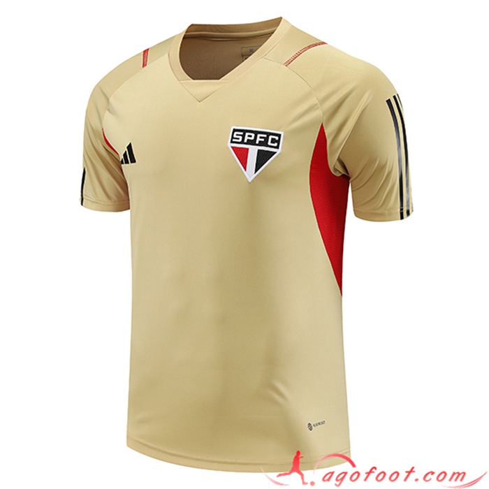 Training T-Shirts Sao Paulo FC Brune 2023/2024 -02