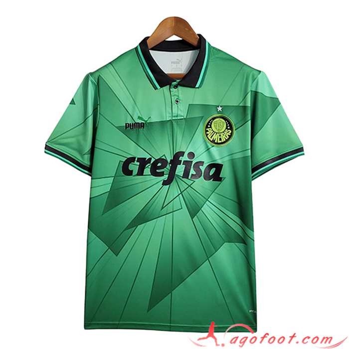 Maillot de Foot Palmeiras Special Edition 2023/2024