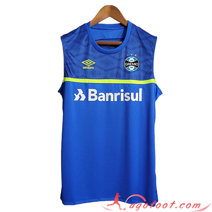 Training Debardeur Gremio Bleu 2023/2024