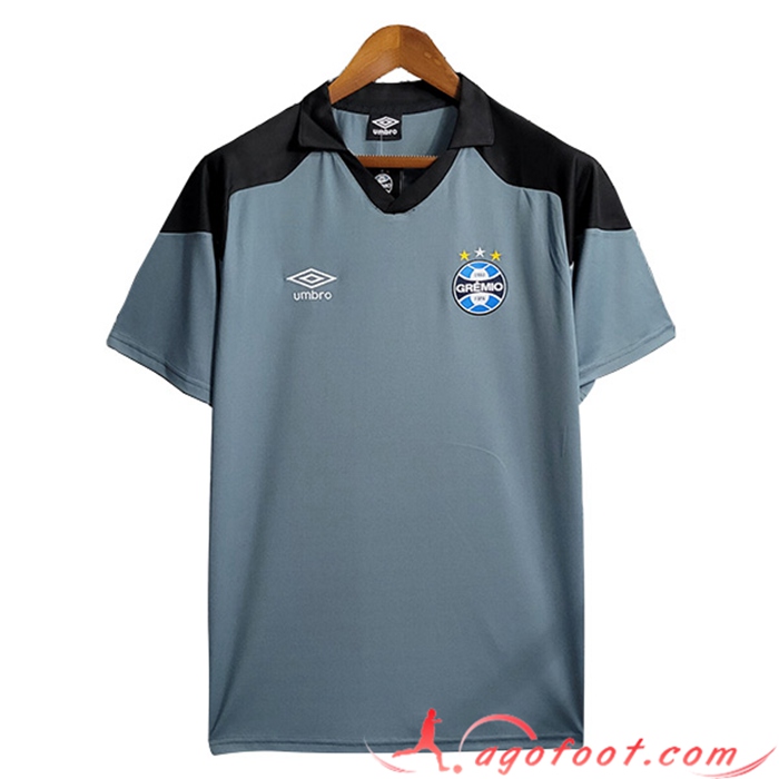 Training T-Shirts Gremio Gris 2023/2024 -02