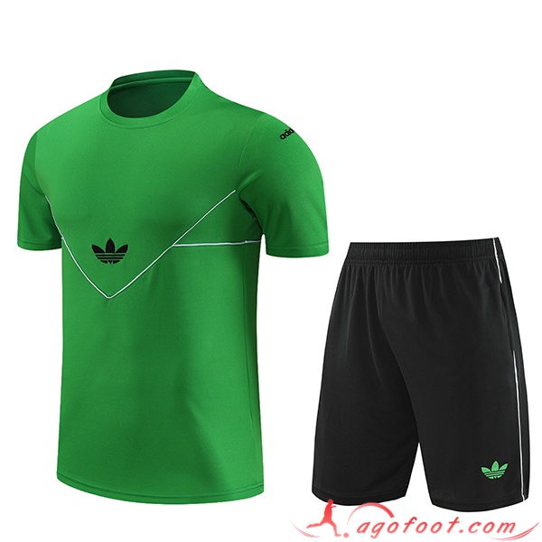 Ensemble Training T-Shirts + Shorts Adidas Vert 2023/2024