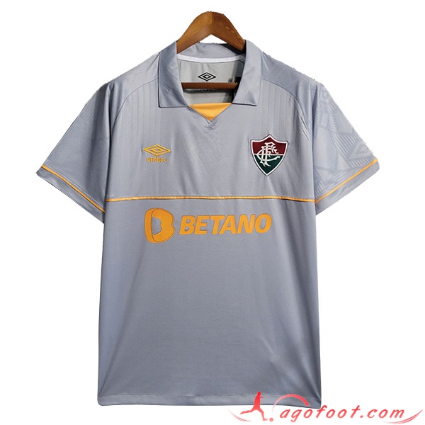 Training T-Shirts Fluminense Gris 2023/2024