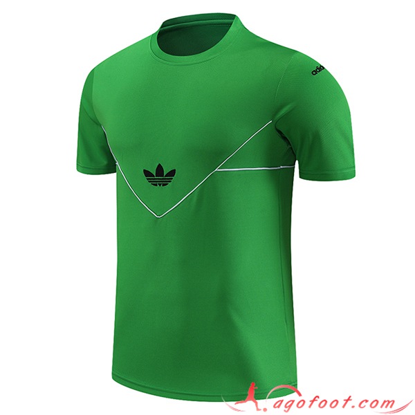 Training T-Shirts Adidas Vert 2023/2024