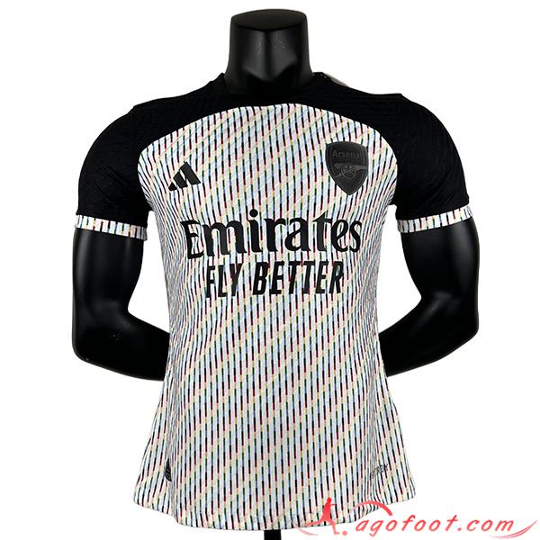 Maillot de Foot Arsenal Special Edition Gris 2023/2024