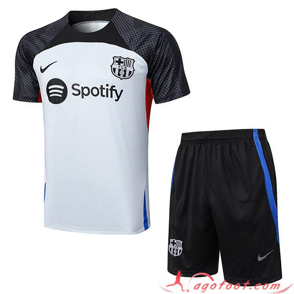 Ensemble Training T-Shirts + Shorts FC Barcelone Gris 2023/2024 -02