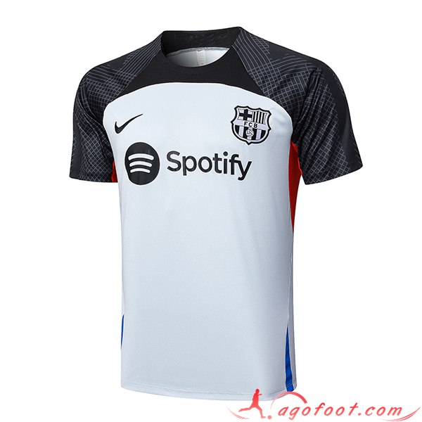 Training T-Shirts FC Barcelone Gris 2023/2024 -02